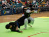 Pencak Silat Scissor Sweep