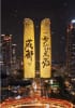 "Chengdu Lights Up for You" New Year's Eve celebration