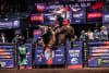 Queensland's KURT SHEPHARD taking the PBR Australia gold buckle in Townsville just two months ago, the 2026 season starts February 7 in Scone. Photo: PBR Australia   