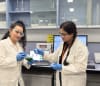 PhD student Parisa Biniaz and Dr Parama Banerjee in the lab, where the Monash team developed a greener method to recover critical metals from spent lithium-ion batteries.