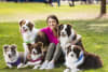Dr Katrina will be attending the Brisbane Dog Lovers Festival