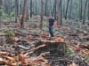 Andrew Fong at Glenbog State Forest. Credit: Wilderness Australia.