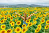 The Kalbar Sunflower Festival is just one of a great lineup of events in the SCENIC RIM region this year_photo Dallas Loves Photography - more images in file in release 