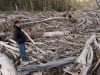 A logged area in Tallaganda State Forest is a wasteland of timber debris two years after logging