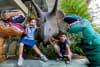 Priya Farrelly (8 years) and Rajah Farrelly (11 years) at the launch of Queensland Dinosaur Week_photo Luke Marsden