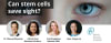 Event: Can stem cells save sight? Ask the experts