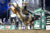 Current number 2 bull rider in the world, Clermont's BRADY FIELDER in action in the USA in the PBR