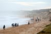 Coastrek, Mornington Peninsula