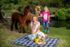 Yes there's Alpaca Picnics! At O'Reilly's Canungra Valley Vineyards, guests can settle in creekside for the Artisan Picnic and Alpaca Experience for Eat Local Month_pic supplied