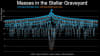 A 'stellar-graveyard' plot showing the masses of all the black holes and neutron stars detected by LIGO-Virgo-KAGRA in the latest catalogue.