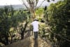 At Domaine des Naturels LMR, R&D experts research new natural species, variety breeding, cultivation methods and production techniques.