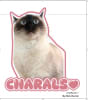 CHARALS
By Merv the Cat