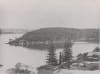 For the People: the centenary of Balls Head and Berry Island Reserves