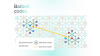 IQM´s breakthrough technology, called barbell codes.