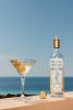 Regal Rogue Dripping Wet Martini with Regal Rogue Daring Dry