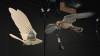 A live kestrel and it's robotic counterpart.