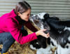Sanctuary of Sentient Beings (pictured) is one of 26 recipients of this year's Thriving Communities Program, which provides grants to community groups' grass root programs that care for the environment and strengthen community connections.