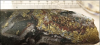 Breccia zone at 224 metres down hole in GV-26-002 showing strong chalcopyrite (yellow) and native copper (red-brown) mineralisation. The interval with this mineralisation graded 1.2 metres at 1.8% Cu, 98g/t Ag & 2.3g/t Au from 123.8m.
