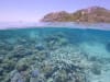 Bleached coral on Lizard Island, Queensland © WWF-Aus / Alexander Vail
