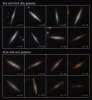A Sample of Galaxy Disks: Credit: NASA, ESA, CSA, STScI, Takafumi Tsukui (ANU).
