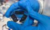 Experimental microneedle patch samples used in research into dry mRNA vaccine patch design. Image: Cherry Cai, RMIT University