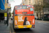 Flip The Vape's bus back advertising featuring South Australian ambassador Kashiah on King William St in Adelaide.