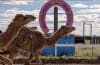 BIG GAV STORMS BEDOURIE RIDERLESS AS THE ROAD TO BOULIA HEATS UP