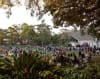 North Sydney Council's Sunset Series are free concerts that take place in St. Leonards Park every autumn. 