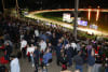 Wentworth Park will host a massive night on October 16 to farewell to greyhound racing with the Ladbrokes Million Dollar Chase the feature event. 