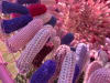 Gut Feeling extreme close up villi