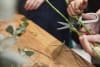 Flower Workshop