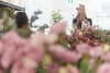 Flower Workshop