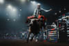 Victorian born bull rider Kelsey Pavlou in PBR full flight - he's riding this weekend in  Melbourne  