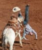 Sometimes the red dirt wins, and sometimes the riders win at the mighty Mount Isa Mines Rodeo_photo Adam Head