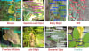 The SLIF-Tomato dataset built by academics from CDU and UoP contains 8,934 images, broken into eight classes. Pictured are examples of their bounding box annotations.