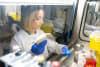 Stem cell scientist Rhiannon Werder from Murdoch Children's Research Institute who will be speaking as part of National Science Week.