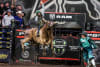Victorian Sam Woodall in winning form on bull Jackie Red at the John Cain Arena last night at PBR Australia's return to Melbourne_pic Steve Dilks 