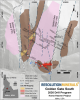 Figure 1: Resolution's Golden Gate South within the Horse Heaven Project - Location of drill holes over interpreted mineralisation and alteration with three reported drill hole gold assays as histograms (red)