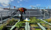 RMIT's Dr Lukas Schuster on the floating wetland platform.