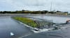 The floating wetland in a holding lagoon at Westernport Water wastewater treatment plant on Phillip Island, southeastern Australia.