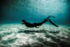 Fremantle Seaweed founder Chris De Cuyper