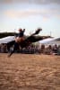 Woodall Rodeos