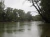 Murray River at Koondrook