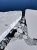 Image credit: Felicity McCormack, Securing Antartica's Environmental Future