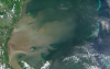 Muddy sediment runs off into the Great Barrier Reef suffocating coral and marine life. 

Credit: Copernicus Sentinel-2 data of the Tully, Murray and Herbert River plumes, 6 February 2025, extracted by TropWATER/James Cook University.