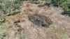 Deforestation in action in the New England, NSW
