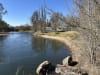 Reflections Tumut River 