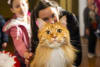 The co-located Festivals will take over Melbourne Showgrounds on Saturday 17 and Sunday 18 October 2026, bringing together hundreds of cats and dogs.