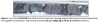 Figure 1. Core from GV-26-008 from 66.8 to 67.2m down hole, showing a highly altered breccia zone hosting silverrich sulphide mineralisation. This interval returned 1.0m at 4,120g/t Ag, 5.7% Zn & 4.1% Pb from 66.7m.