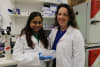 The Florey's Dr Shwathy Ramesan and Associate Professor Samantha Barton with the mini brains.
